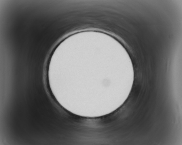 X0000087541518200705251709