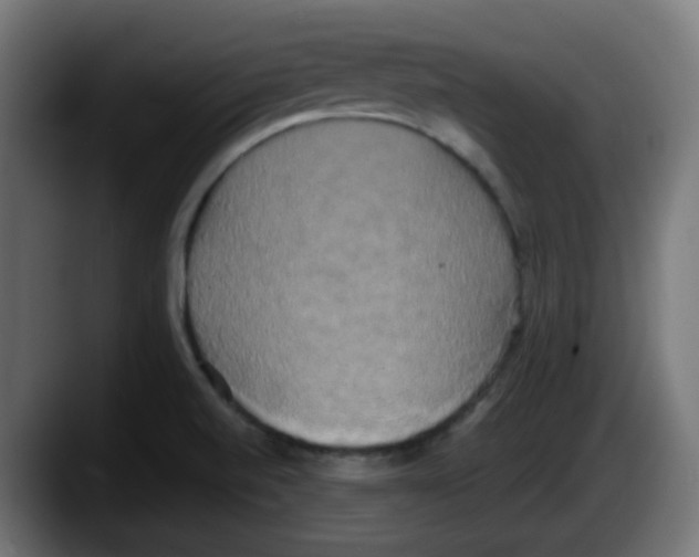 X0000087541520200705251709