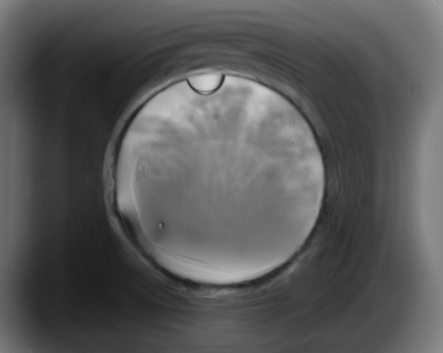 X0000087541522200705251709