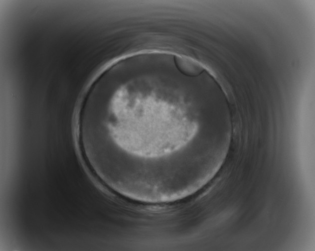 X0000087541523200705251709