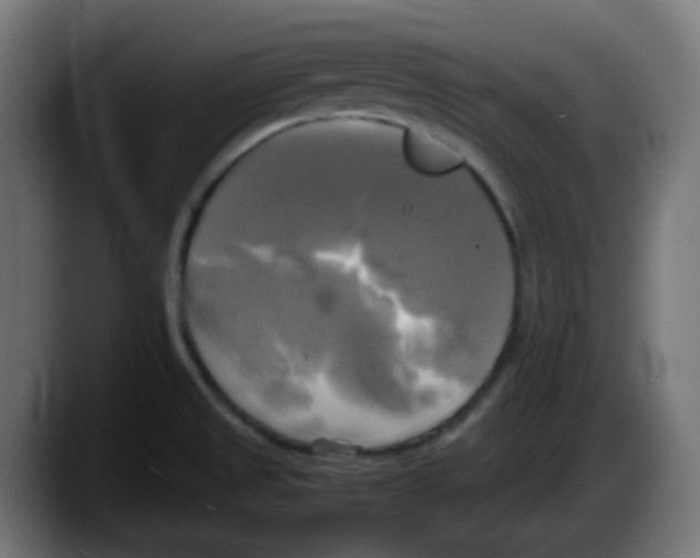 X0000087541525200705251709