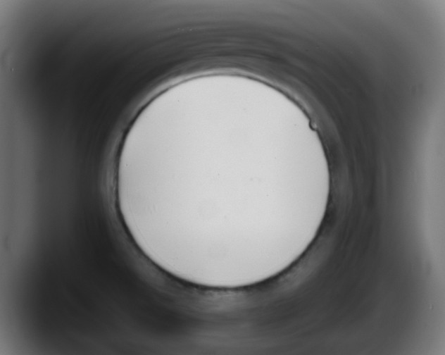 X0000087541526200705251709