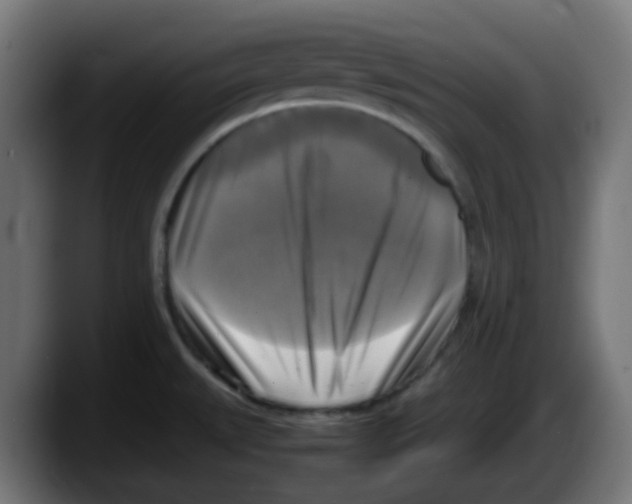 X0000087541527200705251709