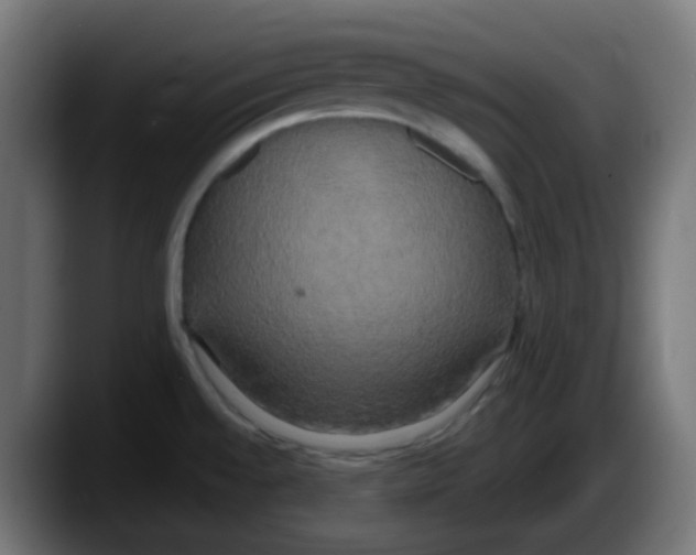 X0000087541528200705251709