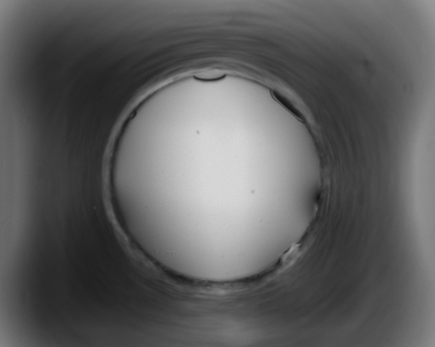 X0000087541530200705251709