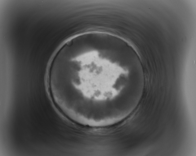 X0000087541531200705251709