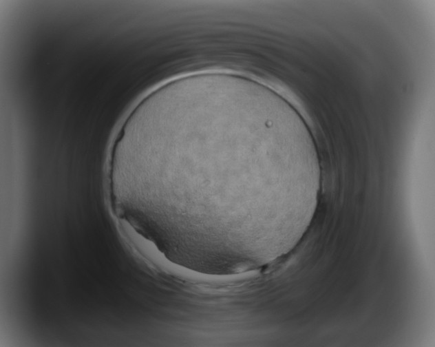 X0000087541532200705251709