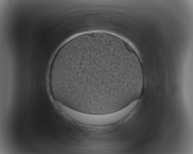 X0000087541534200705251709