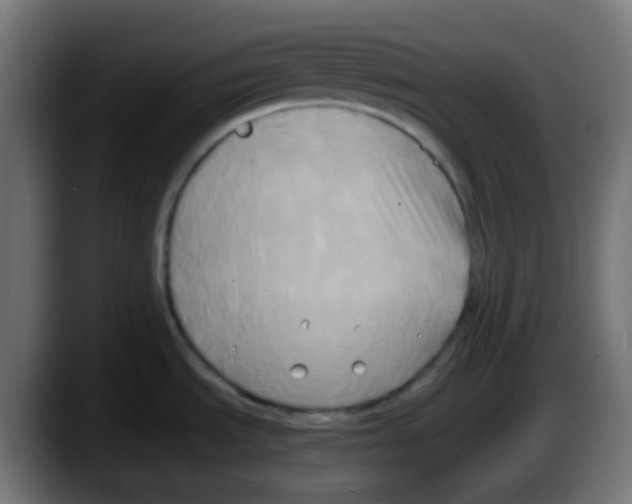 X0000087541535200705251710