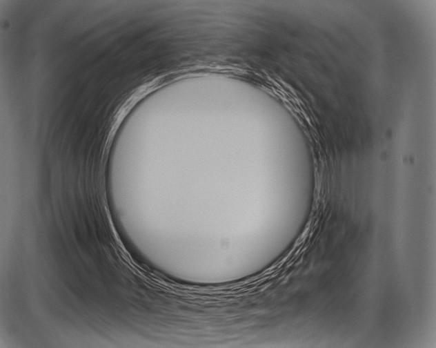X0000087550003200704271000