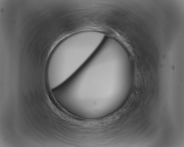 X0000087550011200704271000