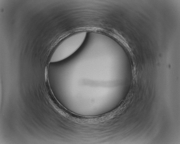 X0000087550013200704271000