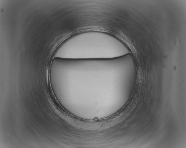 X0000087550014200704271000