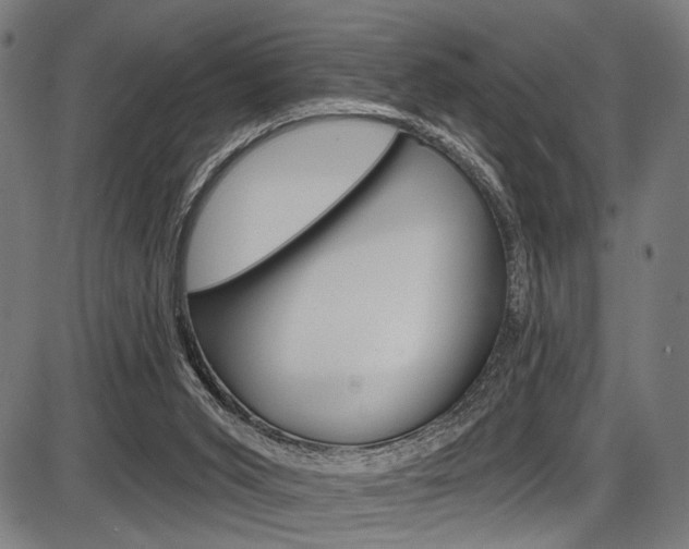 X0000087550015200704271000