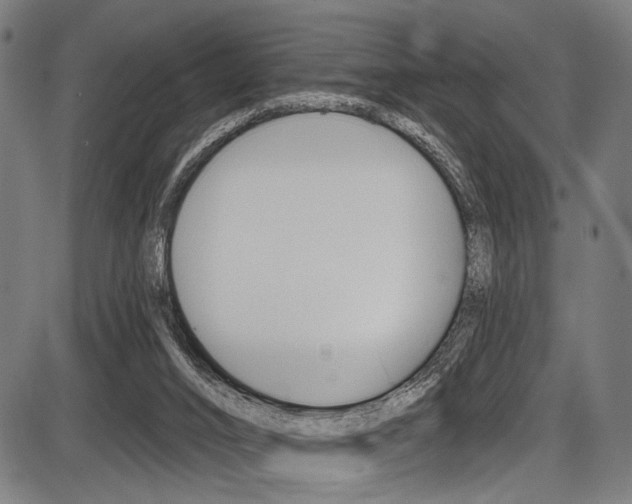X0000087550016200704271000