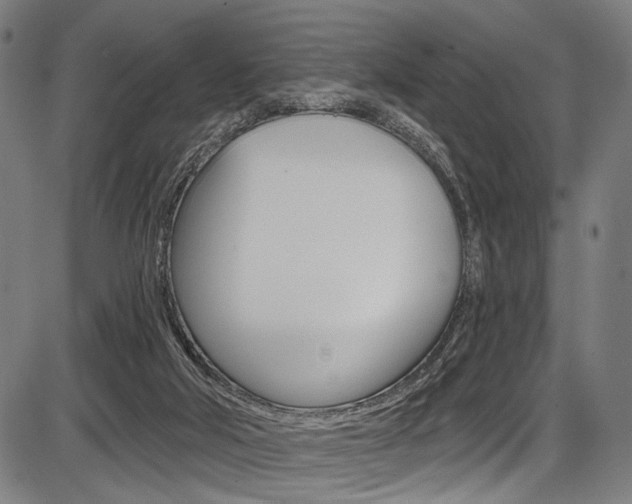 X0000087550018200704271000