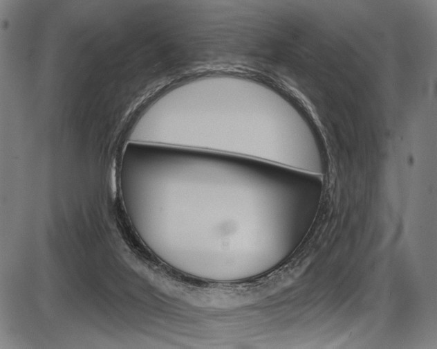X0000087550020200704271000