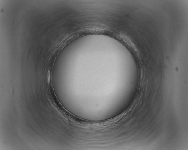 X0000087550021200704271000
