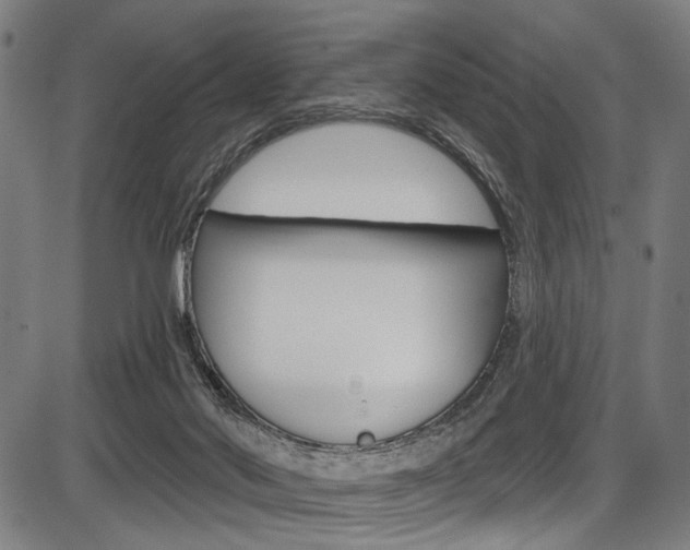 X0000087550022200704271000