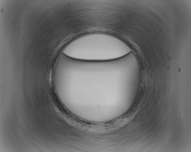 X0000087550024200704271000