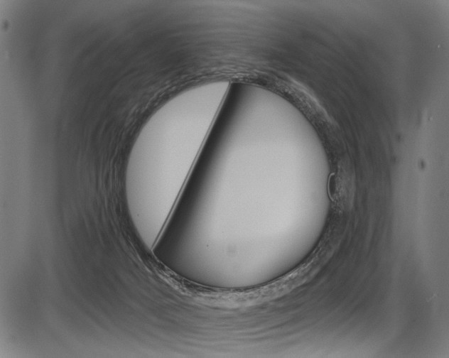 X0000087550025200704271000