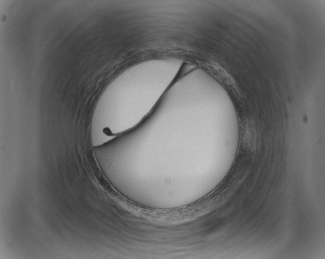X0000087550026200704271000