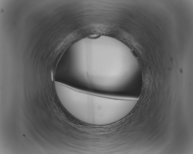 X0000087550027200704271000