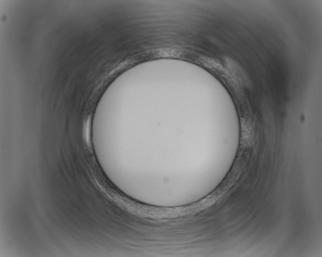X0000087550028200704271000