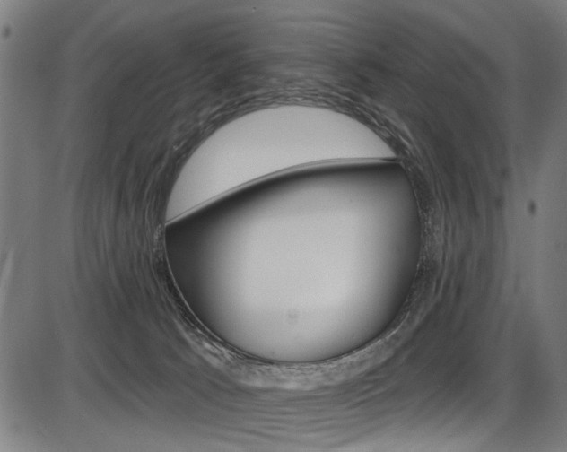 X0000087550033200704271000