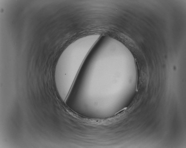 X0000087550037200704271000