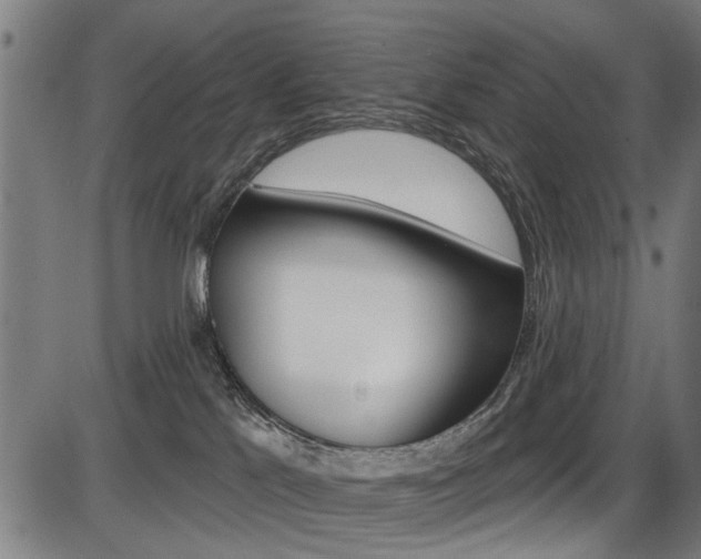 X0000087550041200704271000