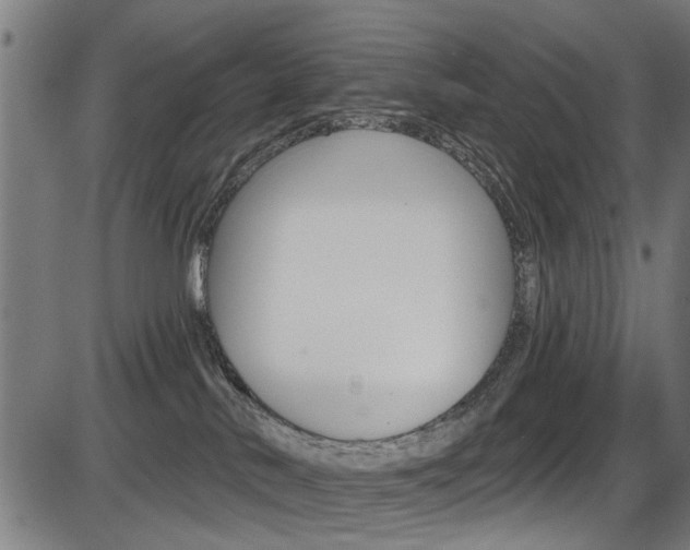 X0000087550042200704271000