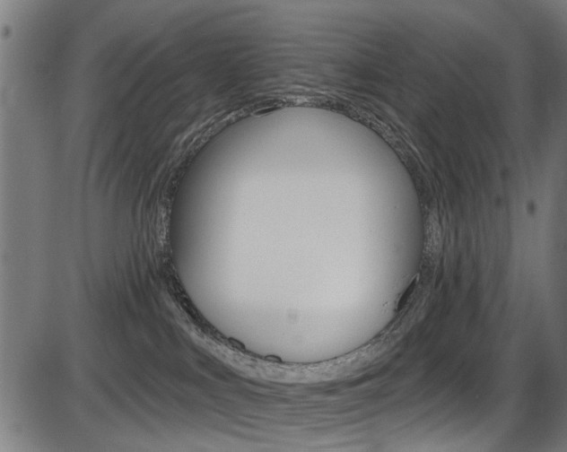 X0000087550043200704271000