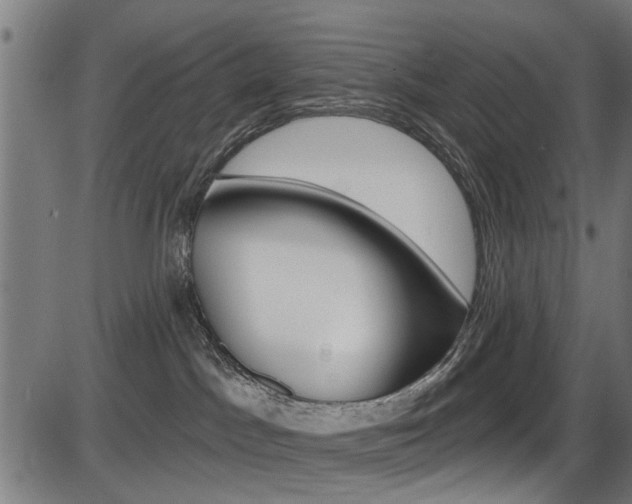 X0000087550045200704270959