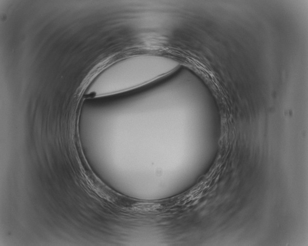 X0000087550051200704270959