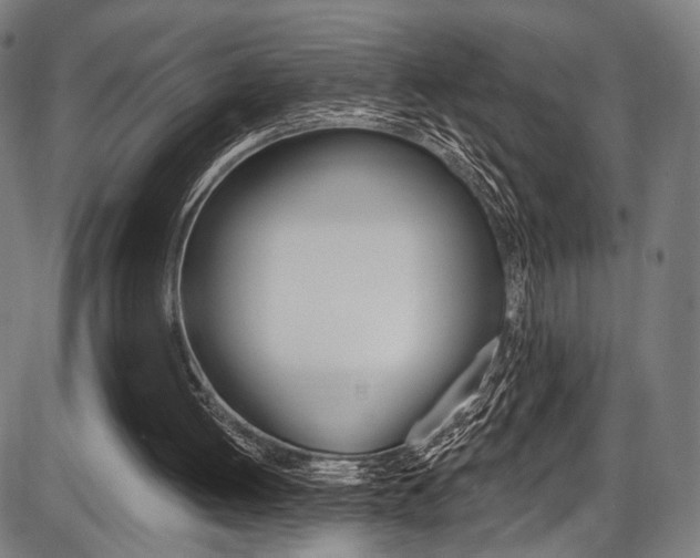 X0000087550052200704270959