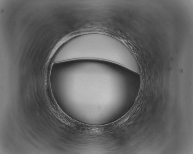 X0000087550056200704270959