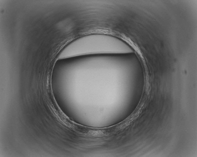 X0000087550057200704270959