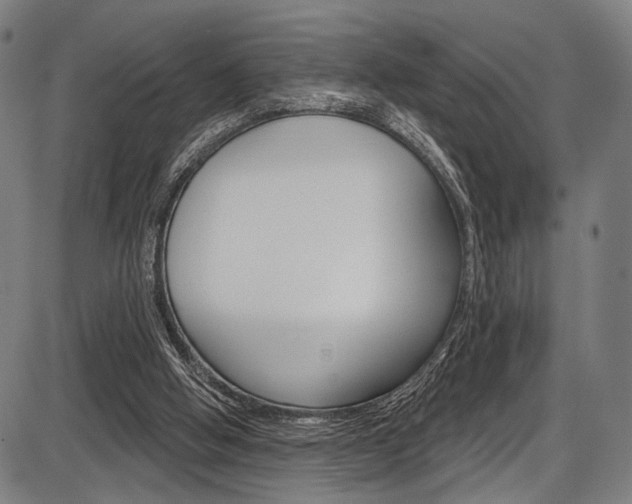 X0000087550058200704270959
