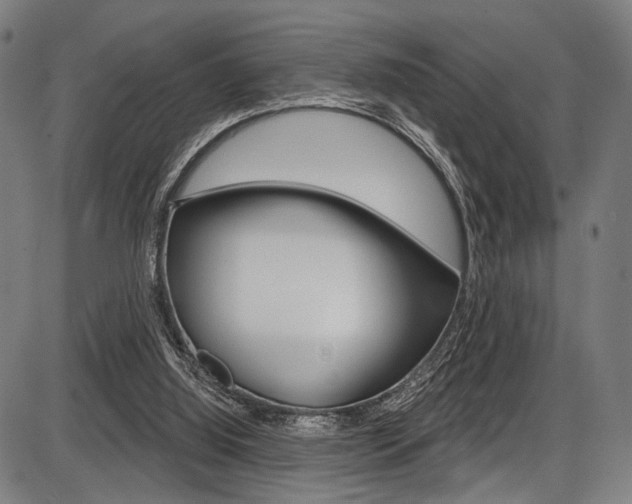 X0000087550060200704270959