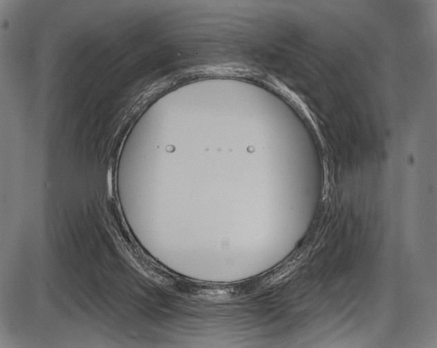 X0000087550061200704270959