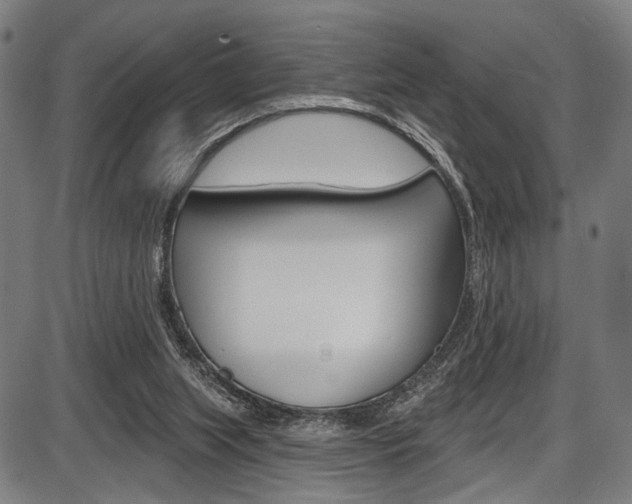 X0000087550063200704270959