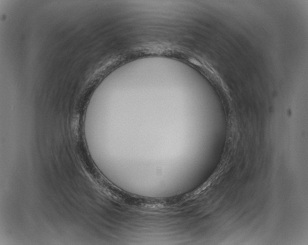 X0000087550066200704270959