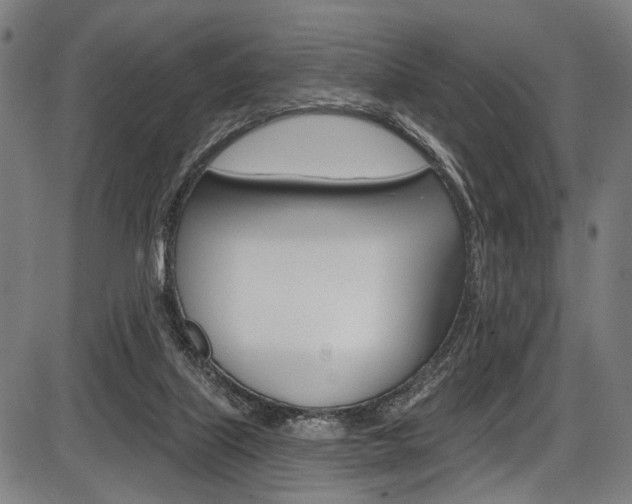 X0000087550067200704270959