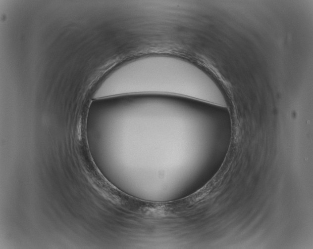 X0000087550068200704270959
