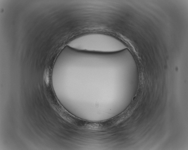 X0000087550069200704270959
