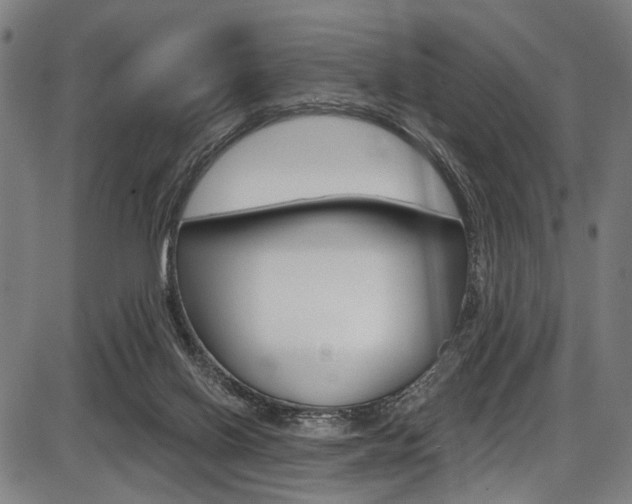 X0000087550070200704270959