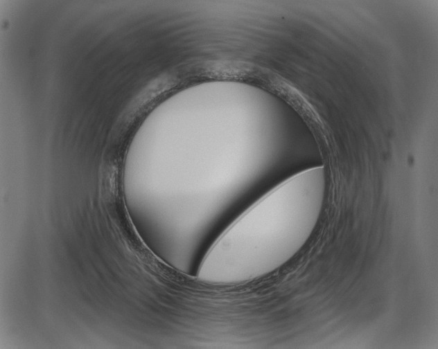 X0000087550071200704270959