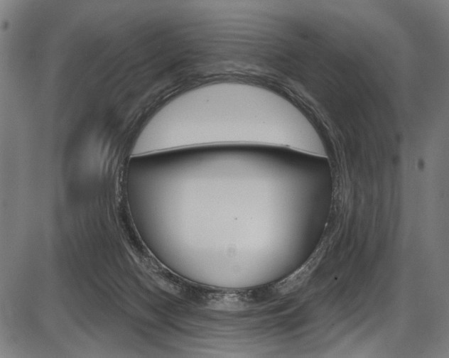 X0000087550074200704270959