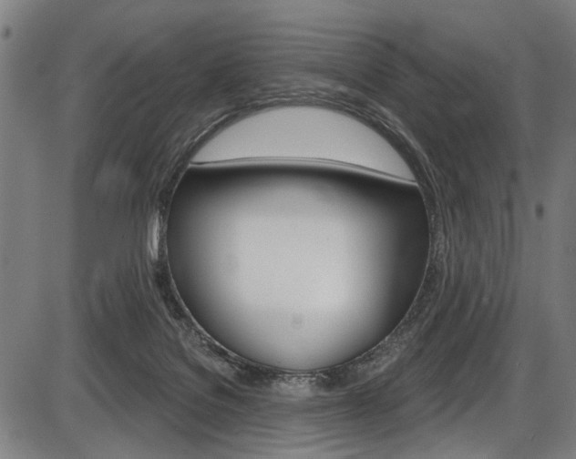 X0000087550076200704270959